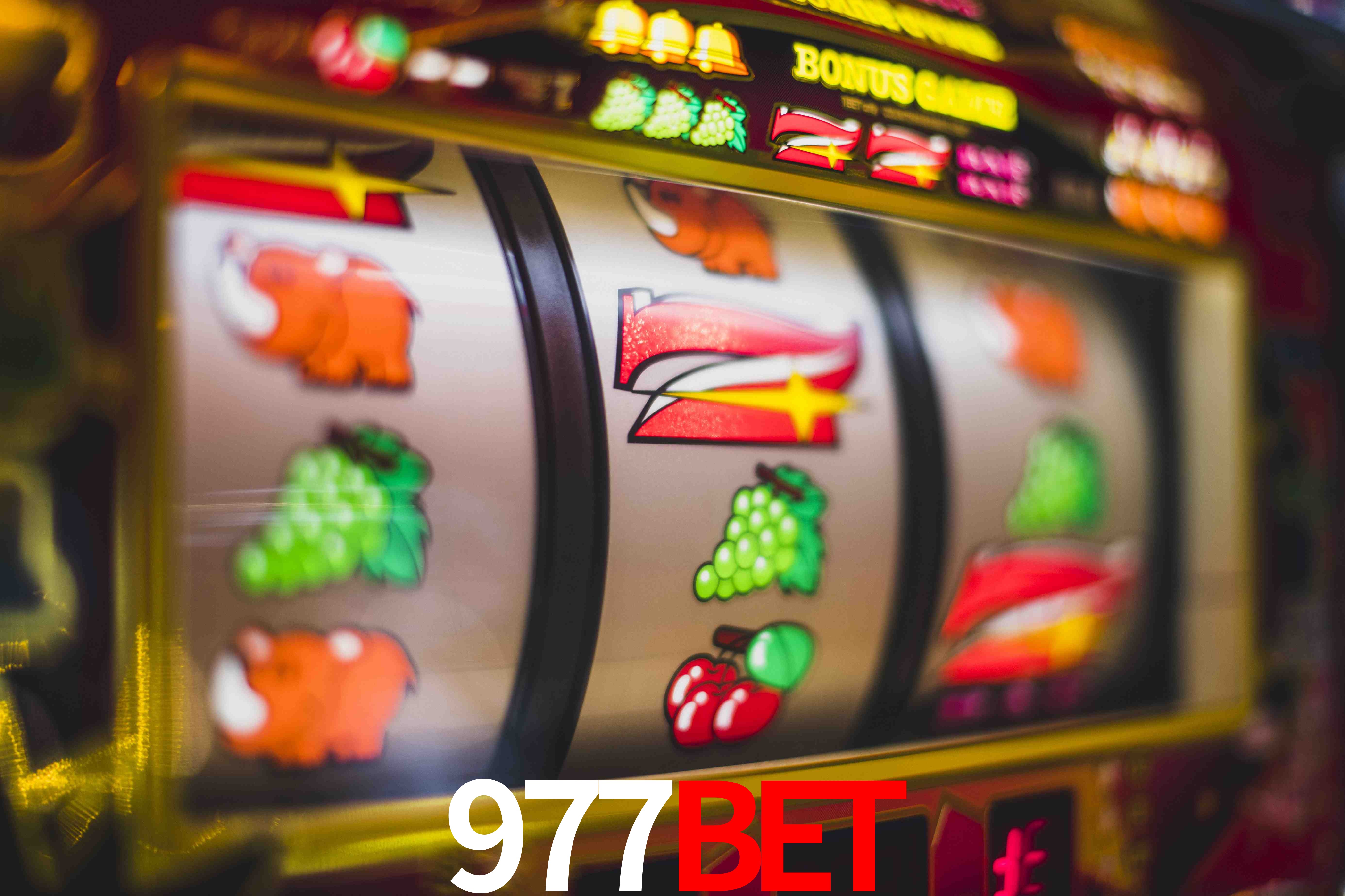 Football Betting 977BET